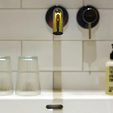 Baumann & Mueller Walsheim