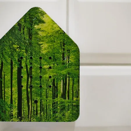 Baumann & Mueller דירה *