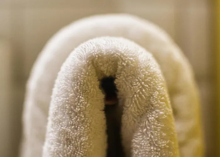 Baumann&müller Apartment